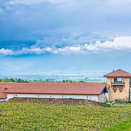 Chateau Mosmieri Hotel & Winery Telavi Buitenkant foto