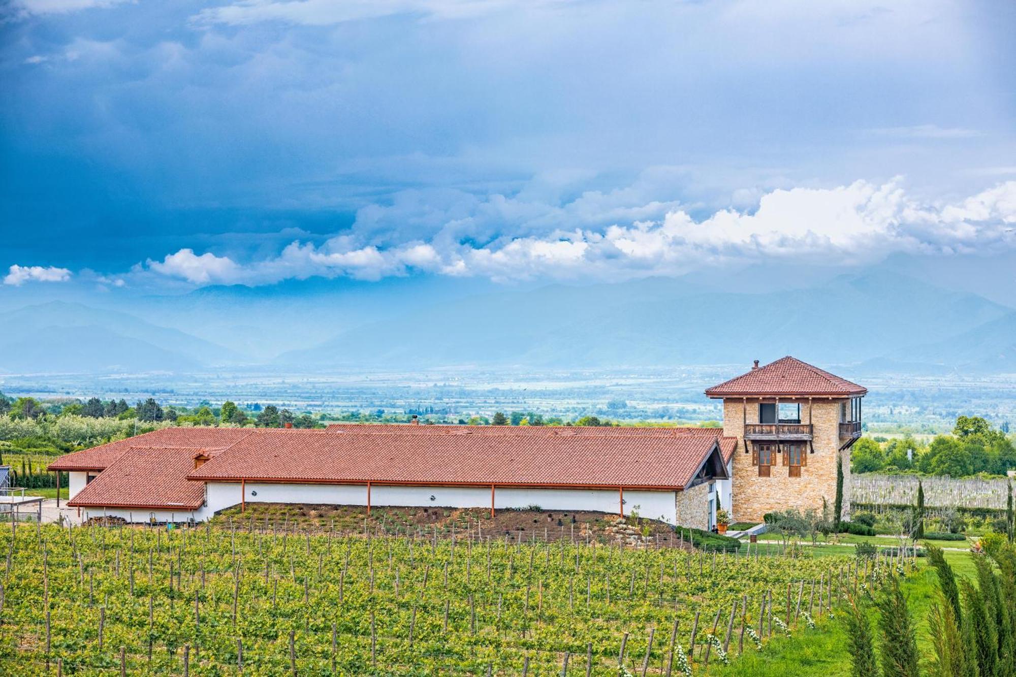Chateau Mosmieri Hotel & Winery Telavi Buitenkant foto