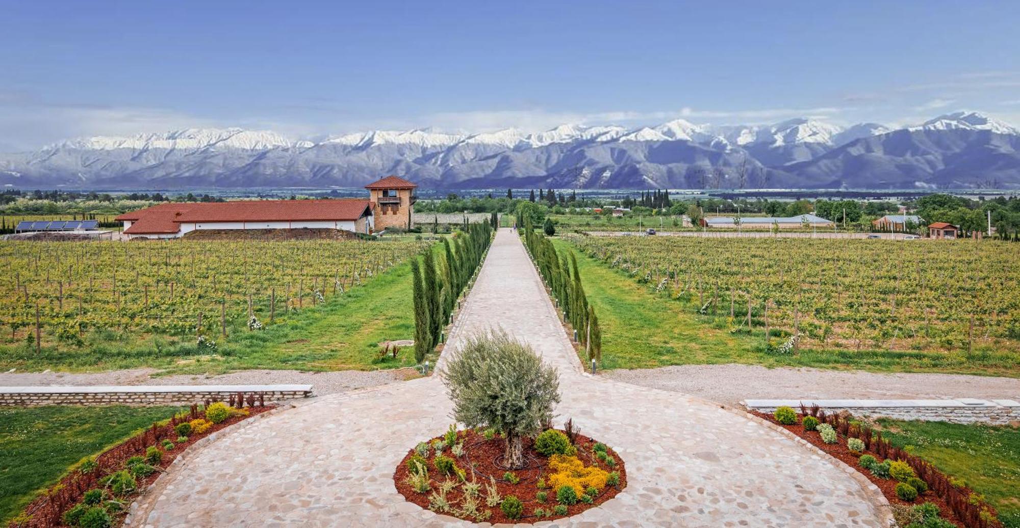 Chateau Mosmieri Hotel & Winery Telavi Buitenkant foto